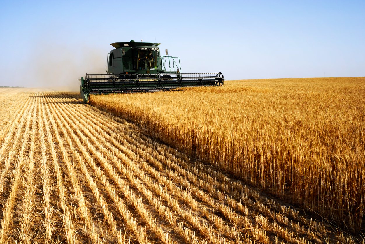 Article image for Christmas Island quarantine: New push for foreign grain harvest workers