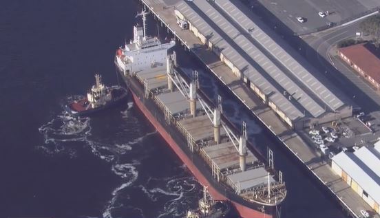Article image for 20 crew on ship docked in Fremantle test positive to COVID-19