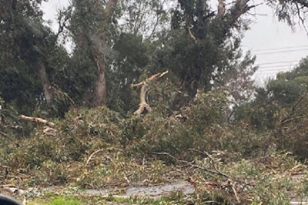 Article image for Lightning causes havoc in Perth’s south-east