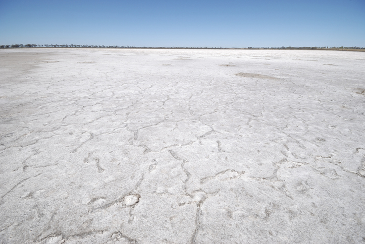 Article image for ‘There is money in mud’: Lake Grace smashes winter rainfall records