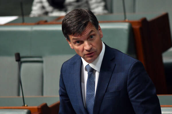Article image for Angus Taylor says net-zero plan ‘respects peoples choices’
