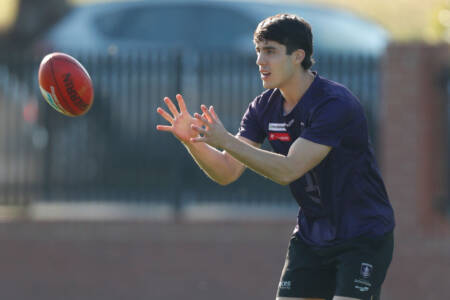 Adam Cerra joins Carlton