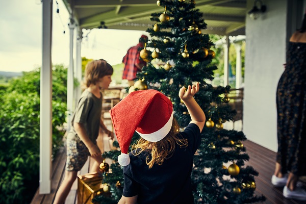 Article image for All I want for Christmas… is a tree!