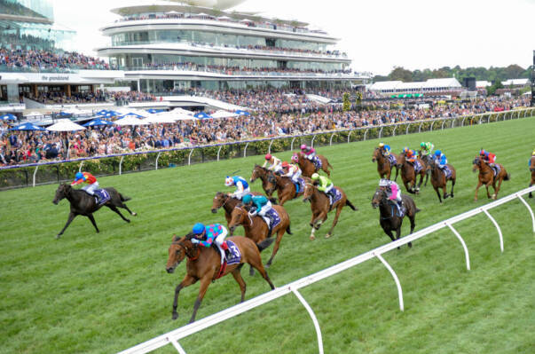 Article image for Cup Day: Flemington welcomes back crowds