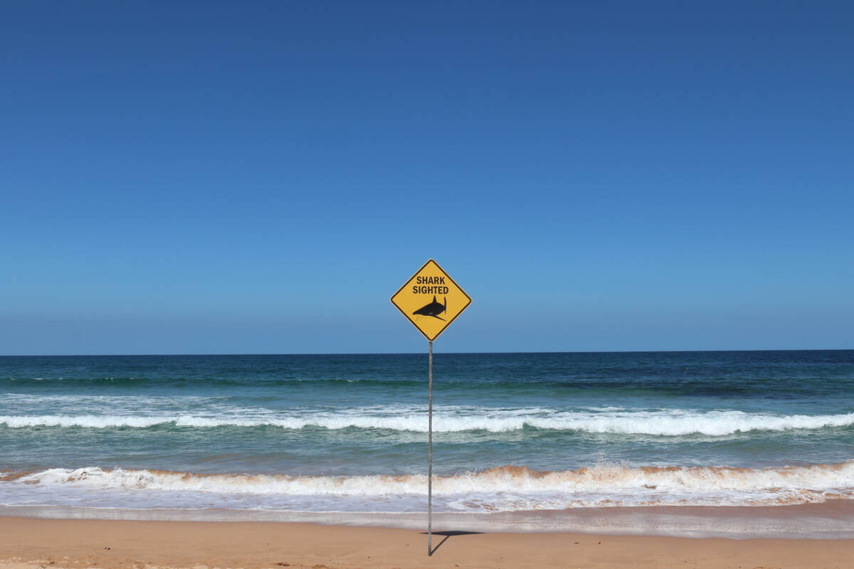 Article image for ‘Do we have a real policy in place?’: Questions asked over beach safety following deadly shark attack