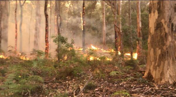 Article image for Police continue search for missing man at centre of Margaret River bushfire