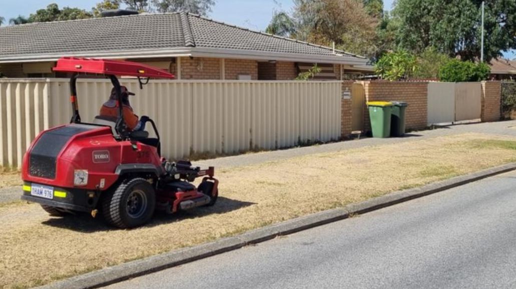 Article image for Should councils mow your verge if you don’t keep it tidy?