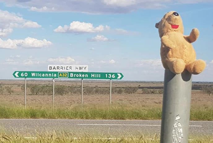Article image for Teddy bear ‘Pooh’s epic outback adventure after dad’s travel photo blunder