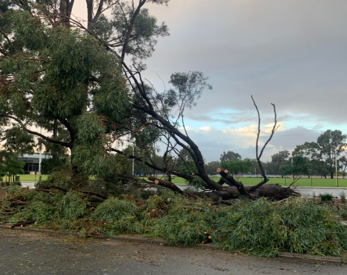 Article image for Wild weather, damaging winds batter Perth and South West