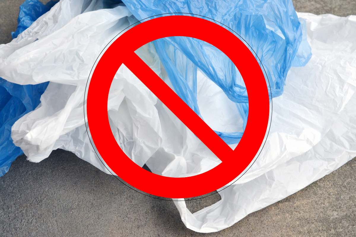 Article image for Shoppers urged to be patient as WA’s world-first plastic ban begins