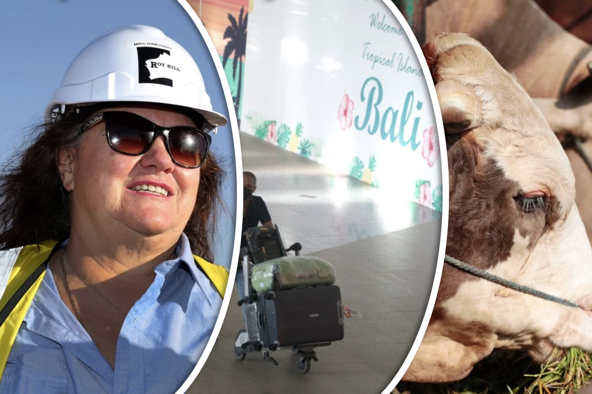 Article image for Gina Rinehart declares FMD could ‘devastate’ stock industries