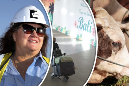 Gina Rinehart declares FMD could ‘devastate’ stock industries