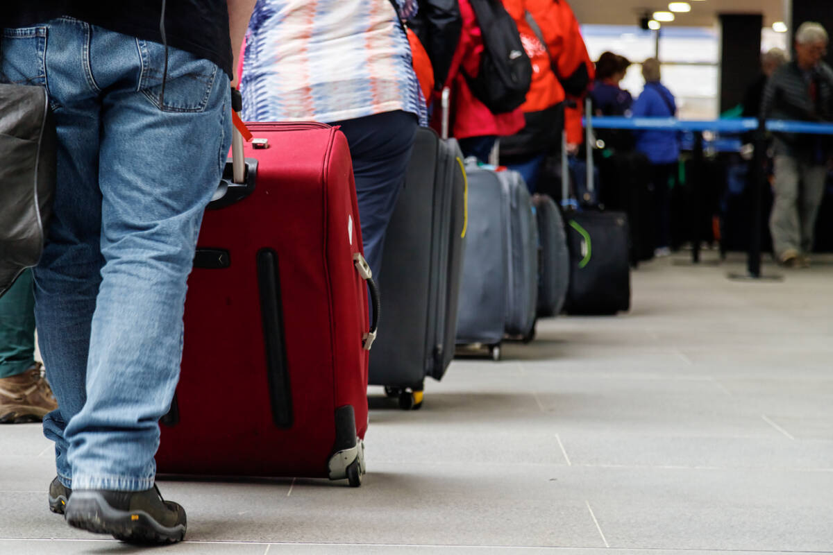 Article image for Business association points to staffing shortages amid airport chaos