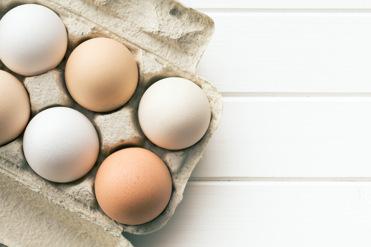 Article image for WA Farmers warn Australians are set to face an EGGsistential crises
