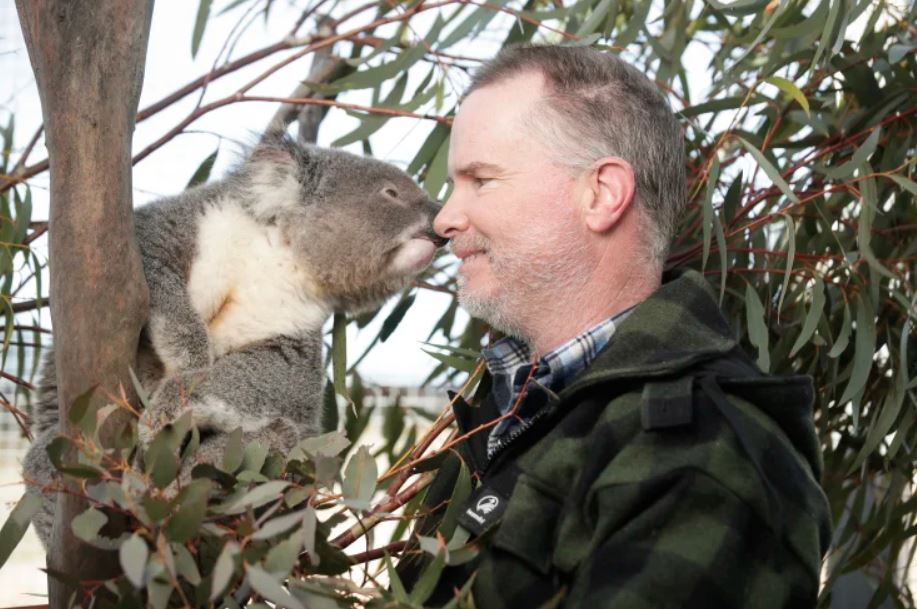 Article image for From animal to human: Increasing wildlife interaction could lead to future pandemics