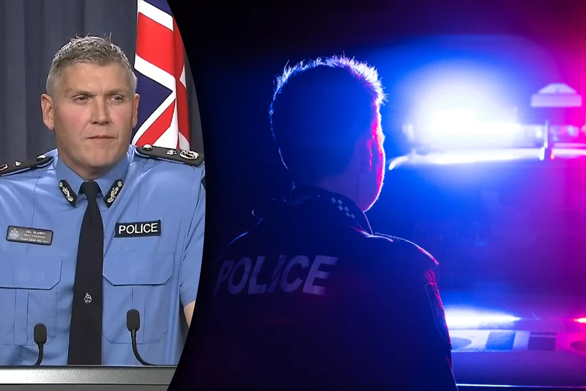 Article image for ‘Vile human beings’: Top cop takes aim at child predators