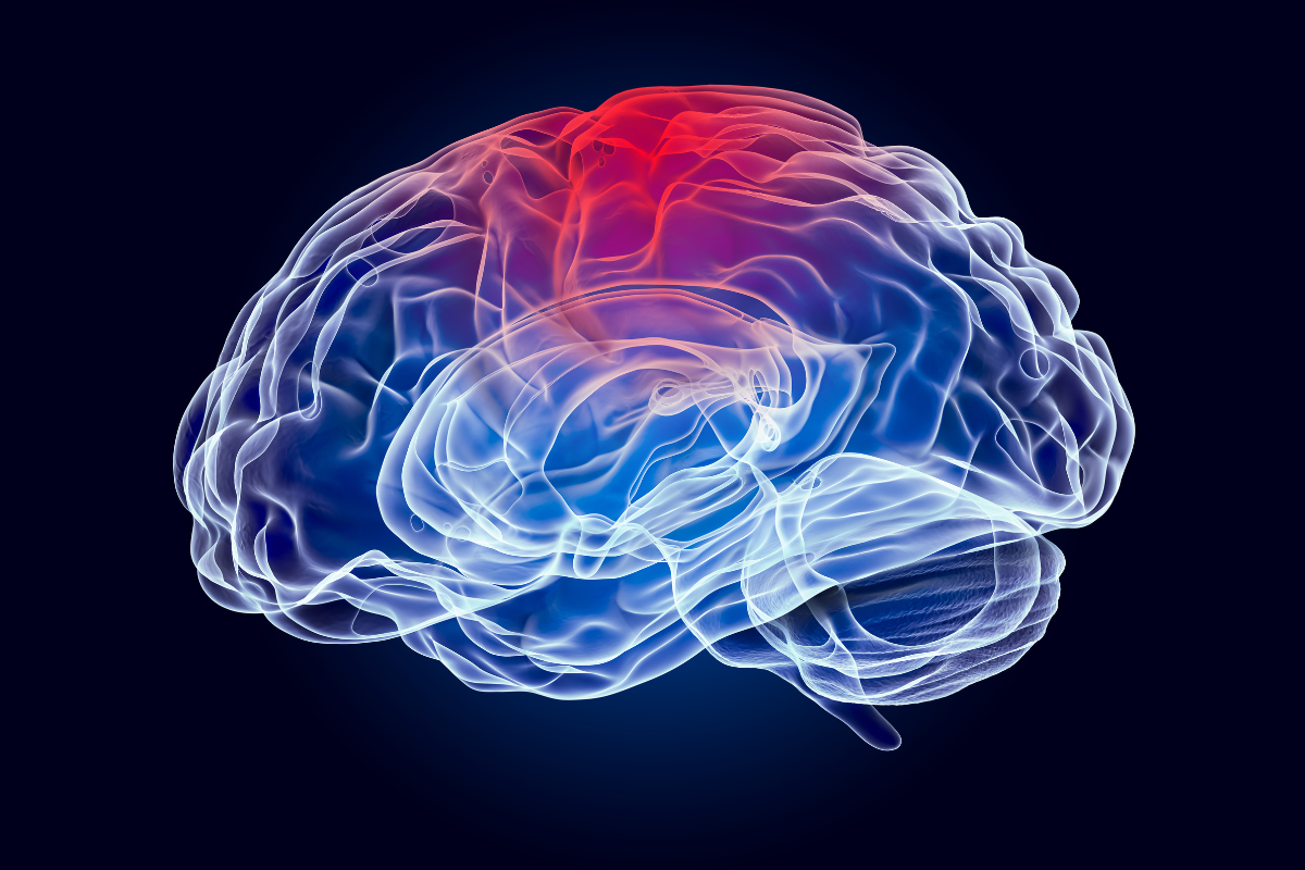 Article image for Should footballers face longer banning periods following a concussion?