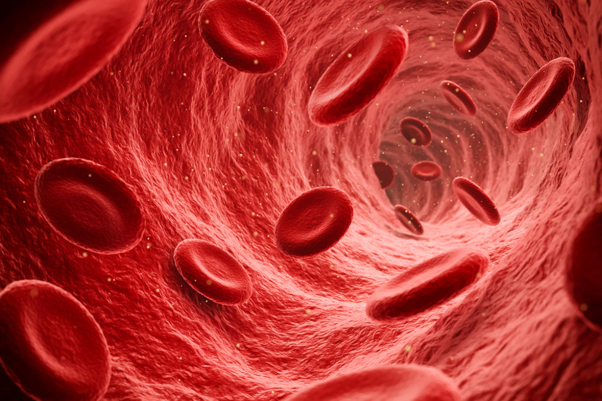 Article image for Aussie researchers unveil extraordinary blood vessel breakthrough