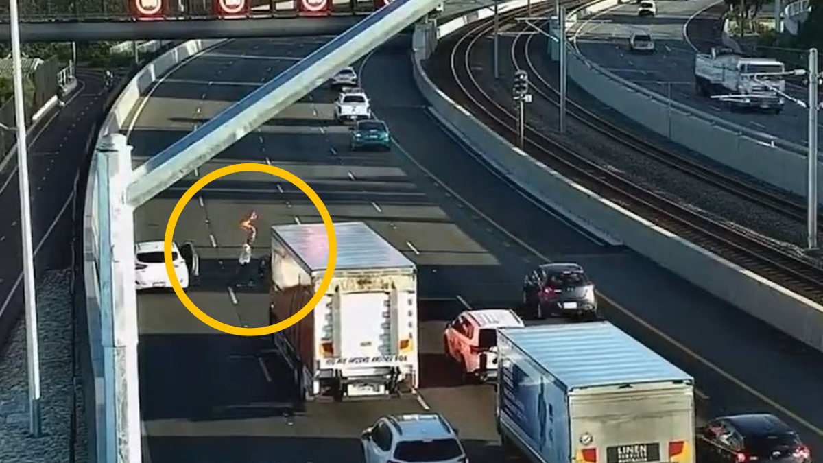 Article image for WATCH: It was ducking hell on the freeway today… again