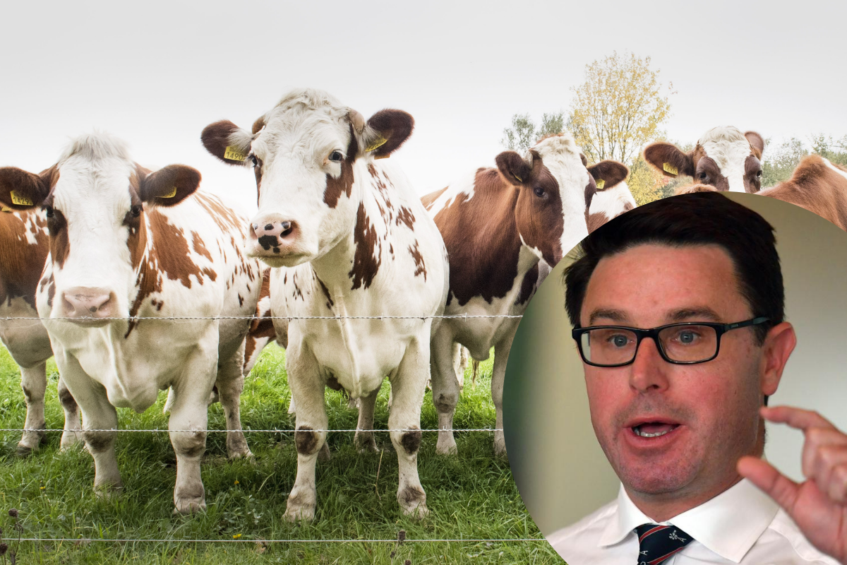 Article image for Nationals leader warns Labor’s methane pledge will lead to soaring meat prices