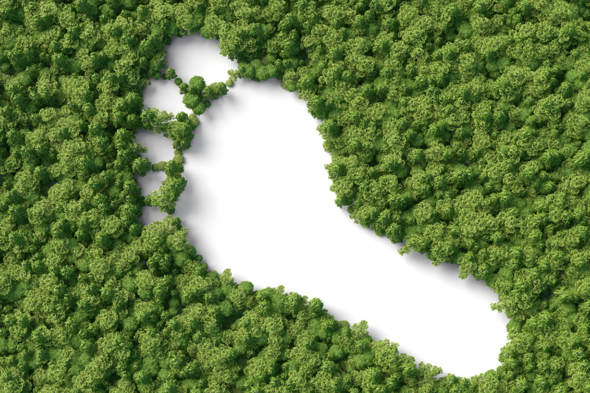 Article image for How tracking your spending can reduce your carbon footprint