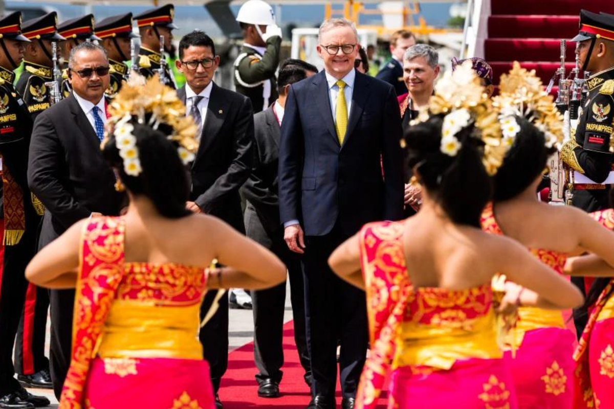 Article image for ‘Australia can feed the world’: Is Albanese out of touch?