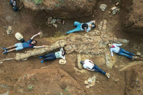 Article image for Amateur paleontologists uncover ancient fossil in outback Queensland