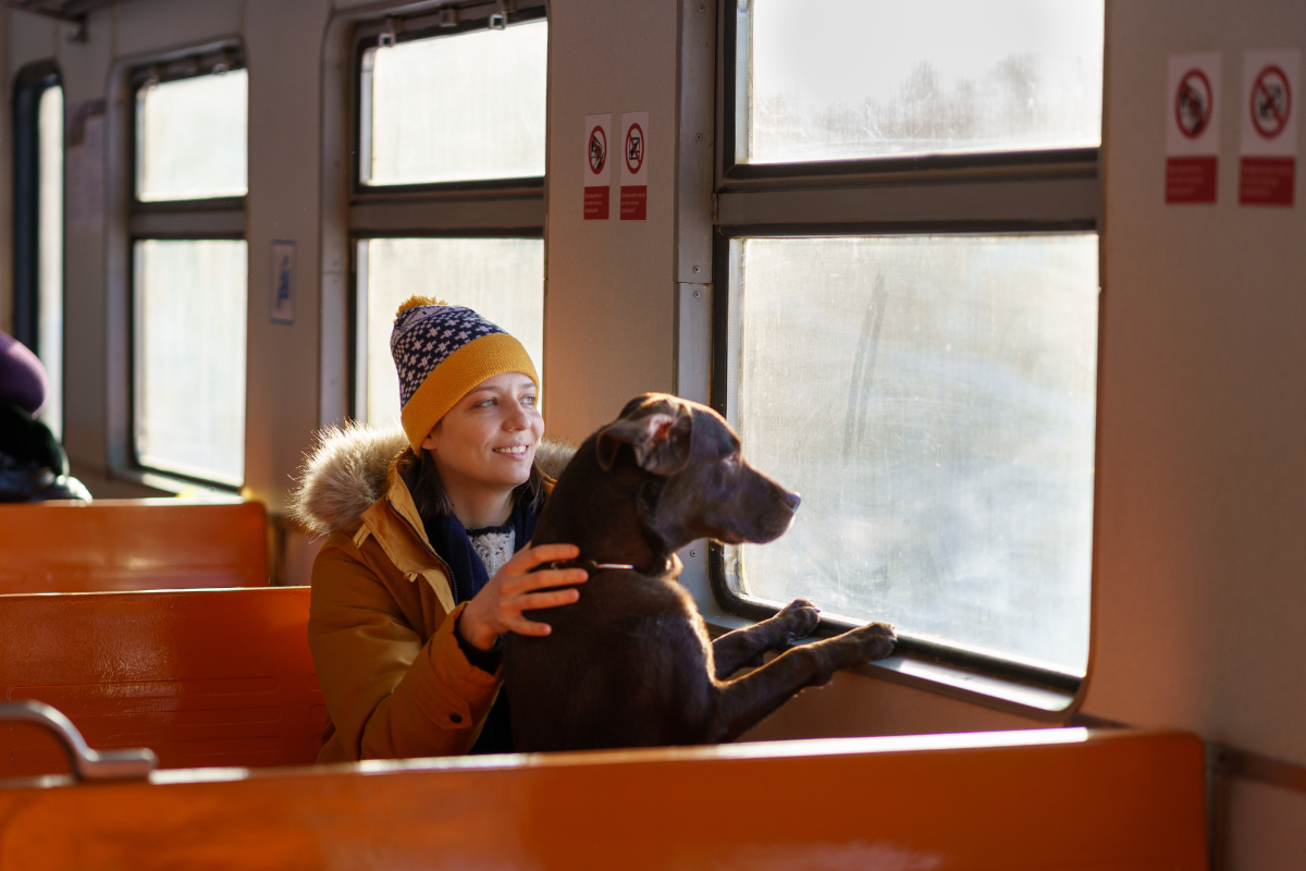 Article image for Push to allow dogs to join their owners on public transport