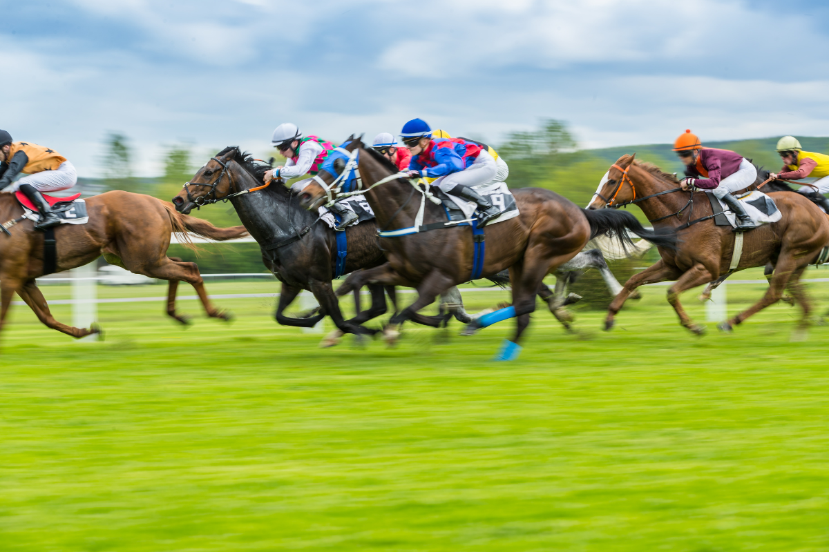 Article image for Lucky win for punters thanks to professional tipster’s stuff-up