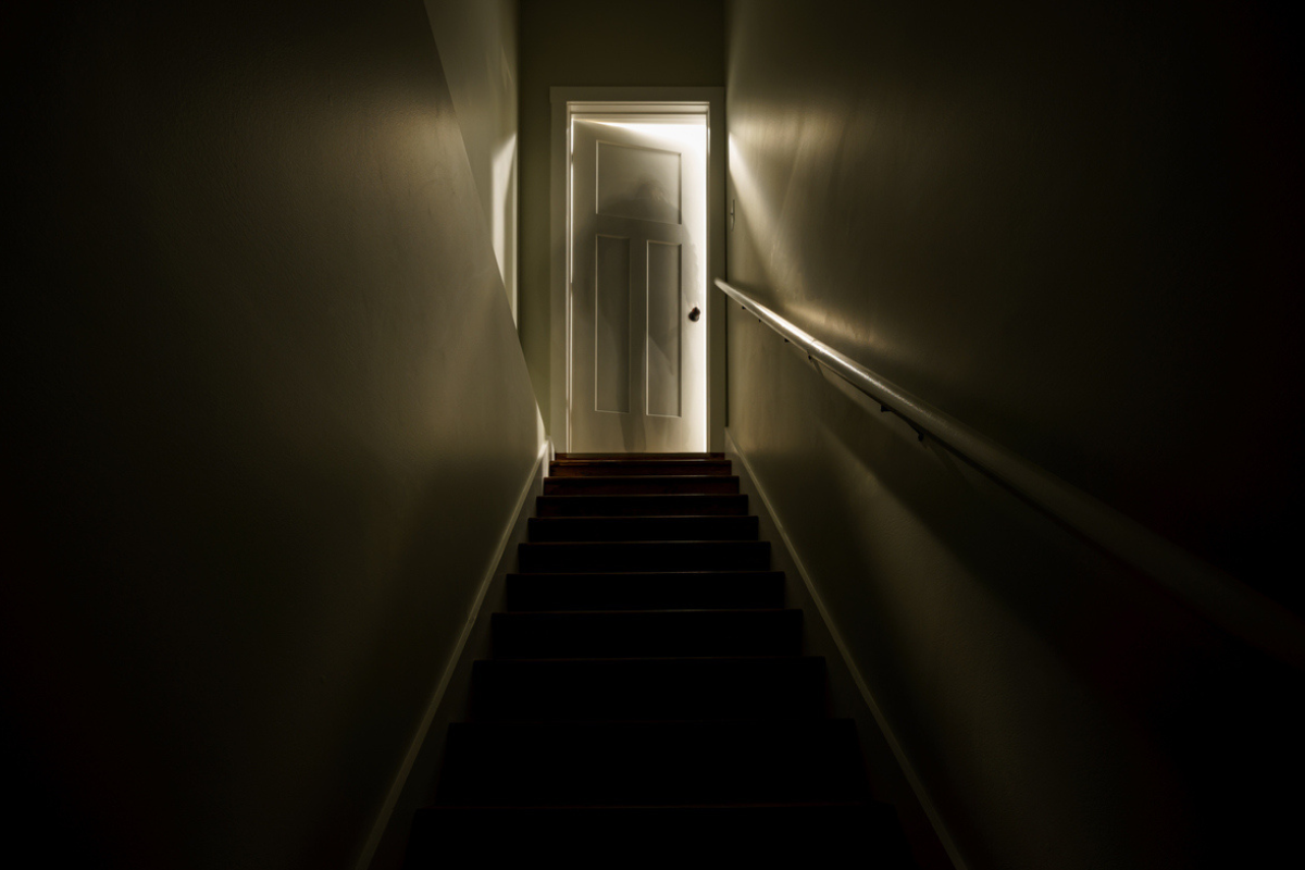 Article image for Fiona Blakeley shares her new ghost play based on a haunted Perth tree