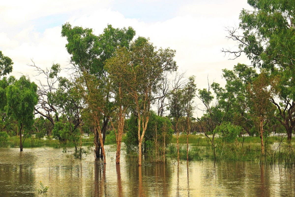 Article image for PM announces grant to support those impacted by the Kimberley floods