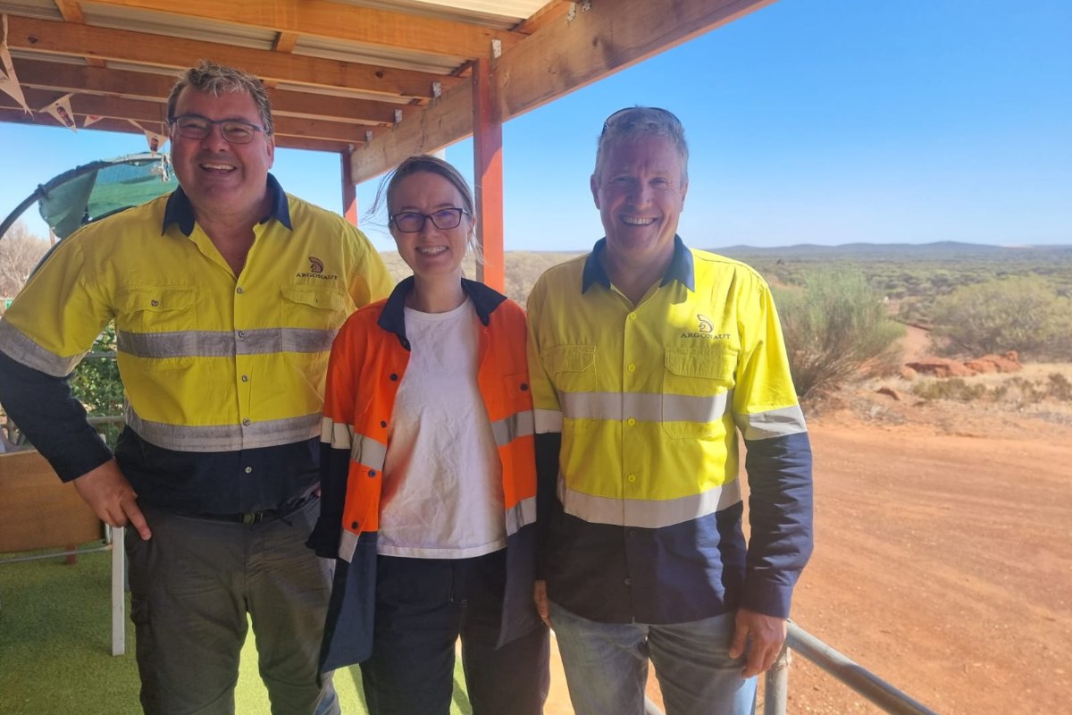 Warriedar Resources (Formerly Anova Metals): 31 historic open pits ...