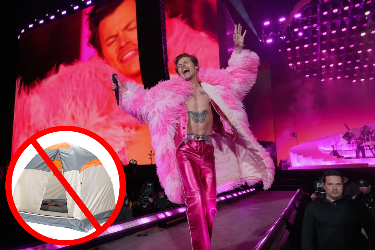 Article image for Why Harry Styles fans say a camping ban will cause ‘pandemonium’