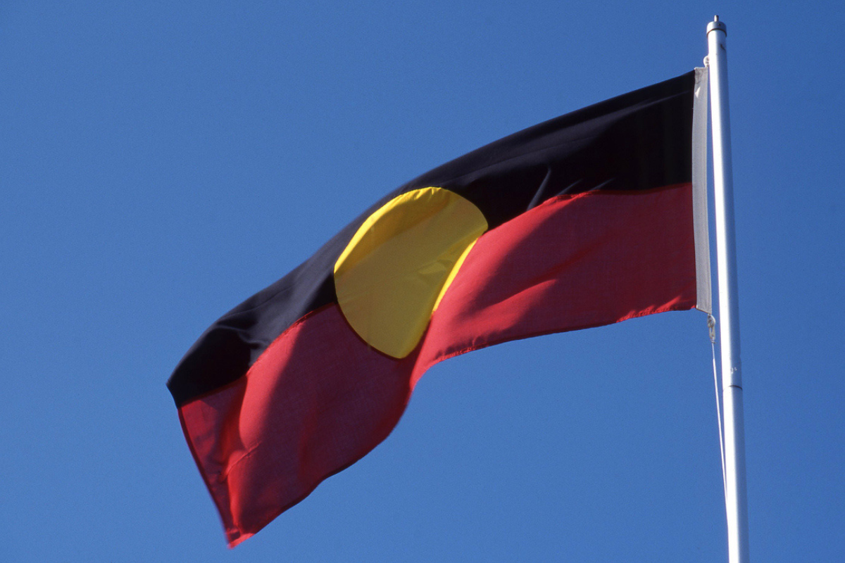 Article image for ‘It’s hypocritical’: Why an NT Senator is rejecting the Voice to Parliament