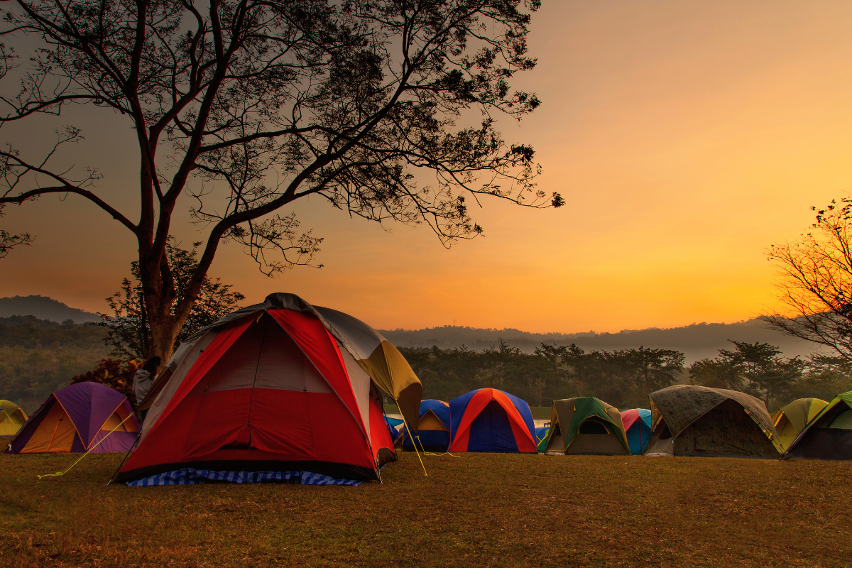 Article image for WA primary school cancels Year 6 camp over teacher workload concerns
