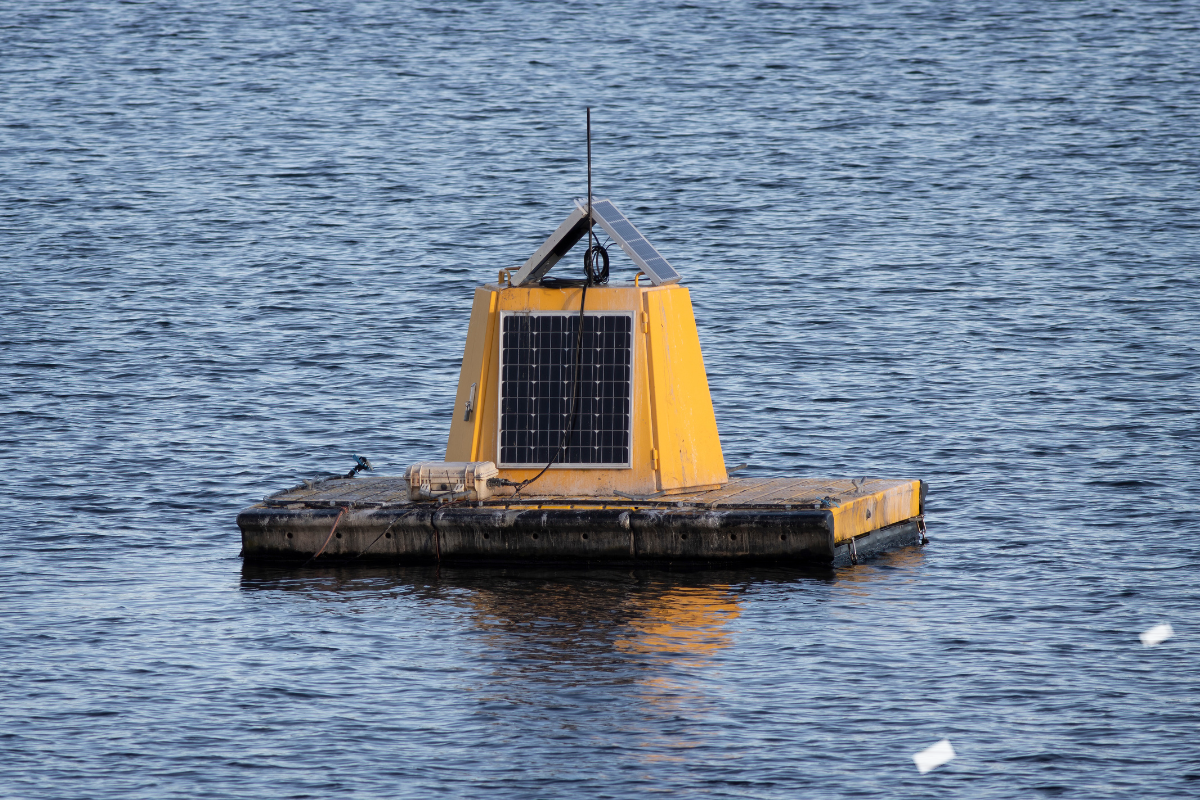 Article image for ‘Weather service for water quality’ set to revolutionise wave watching