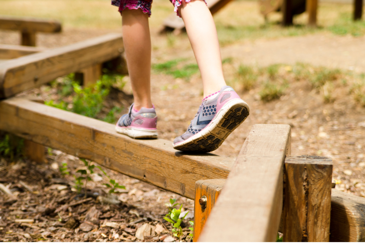 Article image for Nature play areas not being utilised by teachers despite enhancing learning