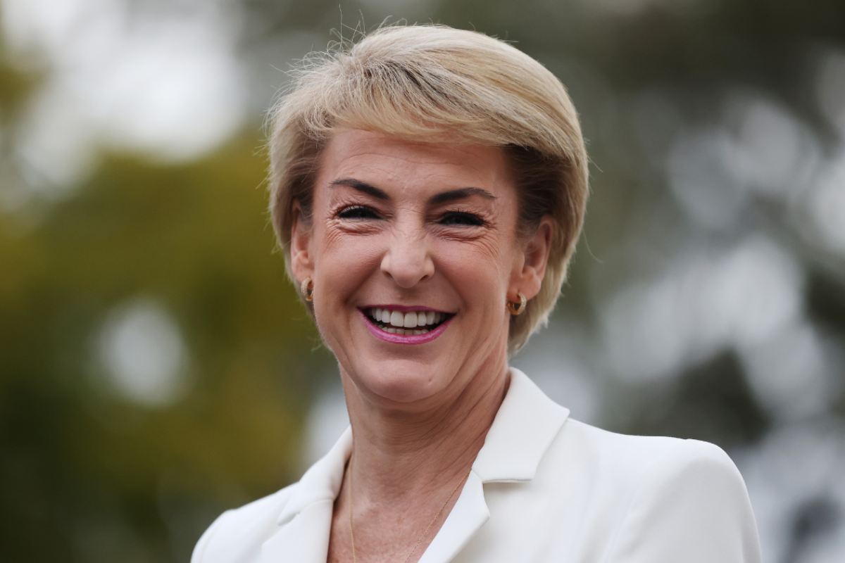 Article image for WA Liberal leader claims the Voice will be ‘destructive’