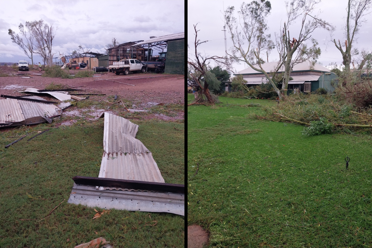 Article image for ‘Pretty wild’: Cyclone Ilsa’s destruction from those on the ground