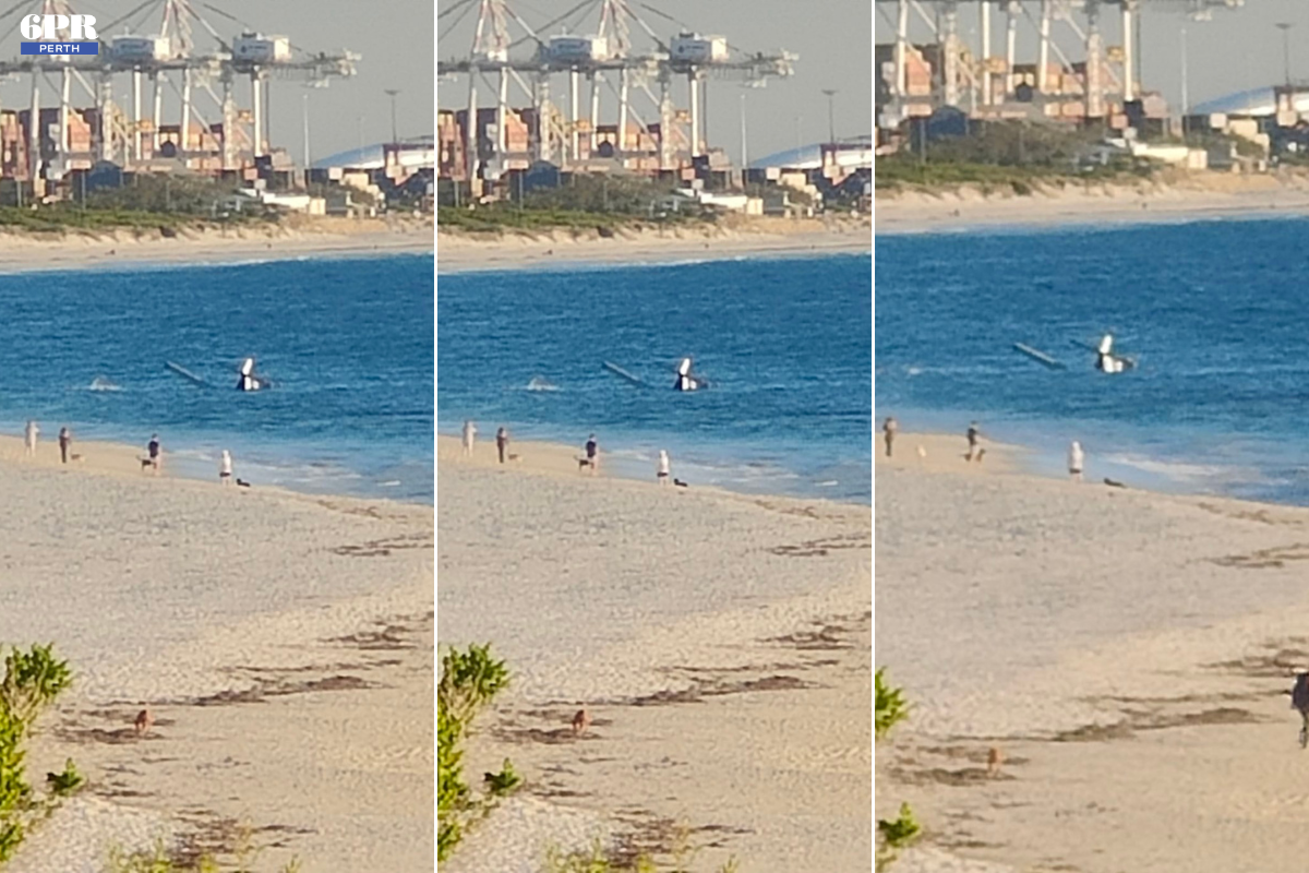 Article image for BREAKING: Plane carrying two people sinks at Perth beach