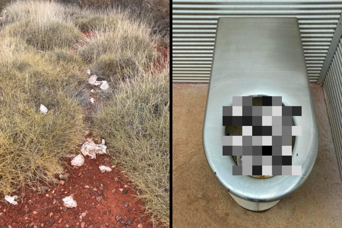 Article image for Truck drivers label “horrendous” truck stop toilets a health risk