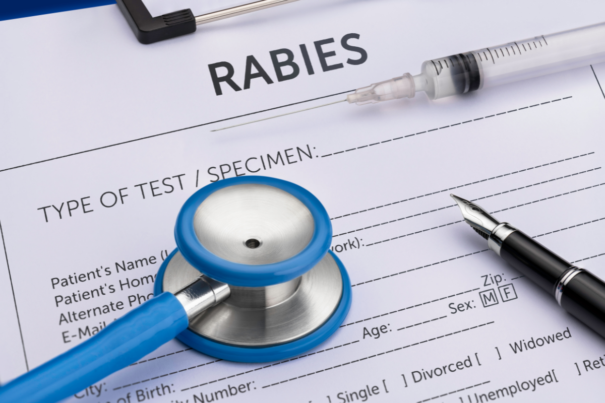 Rabies on the rise? Doctors warn travellers - Vimarsana News