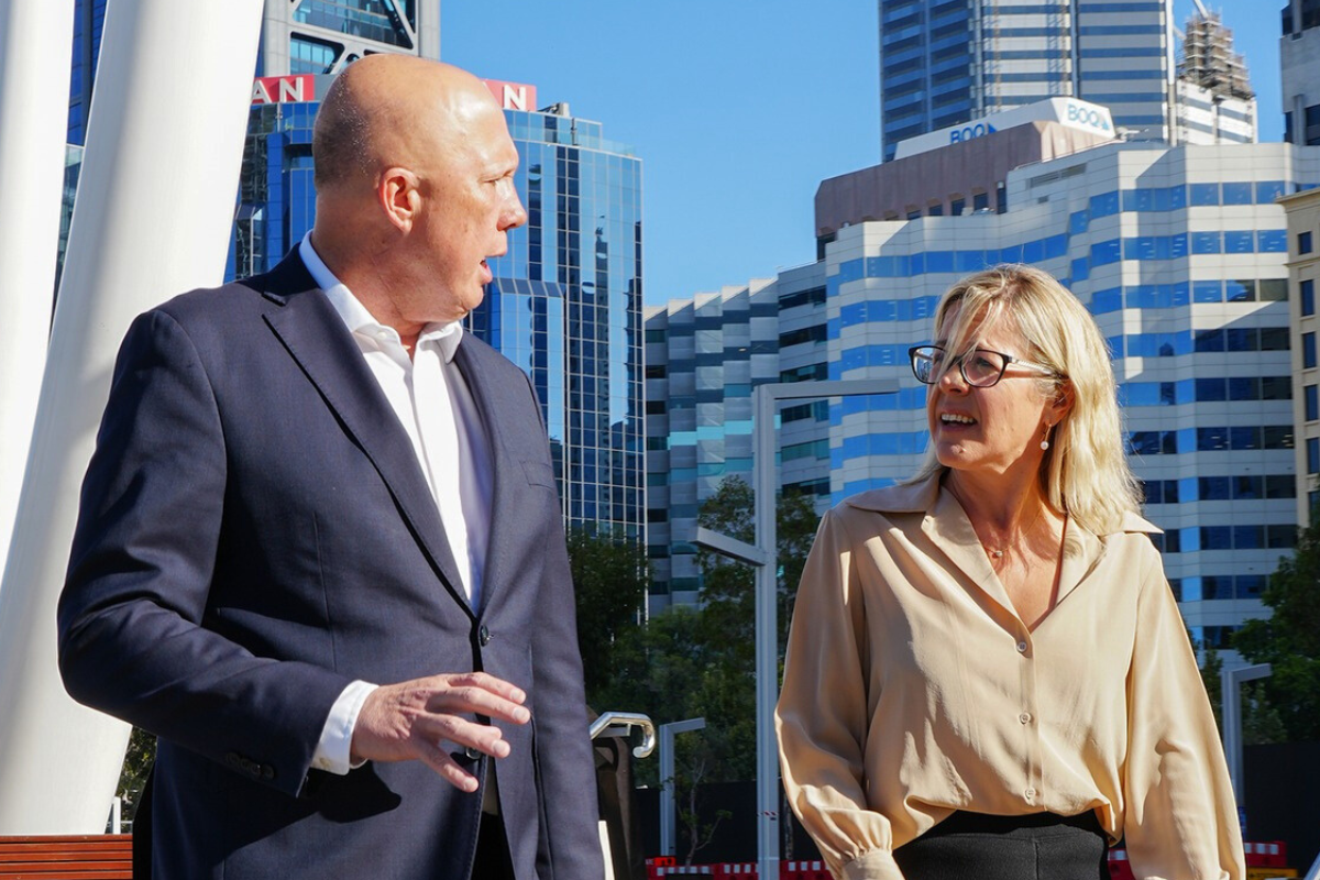 'The options aren't flash': Mettam rejects hopes for Labor election success - Vimarsana News
