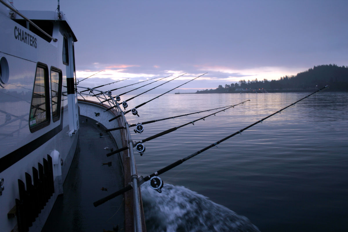 Article image for Charter companies facing bankruptcy due to sustainable catch laws