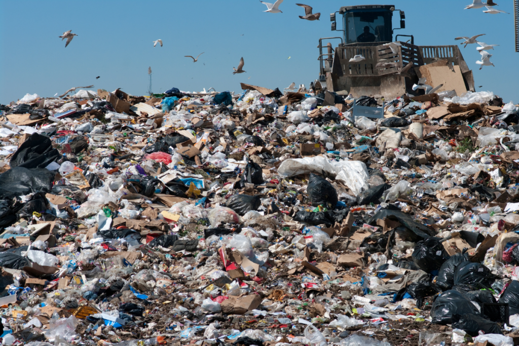 What one charity is doing to stop $2.5 billion in goods hitting landfills - Vimarsana News