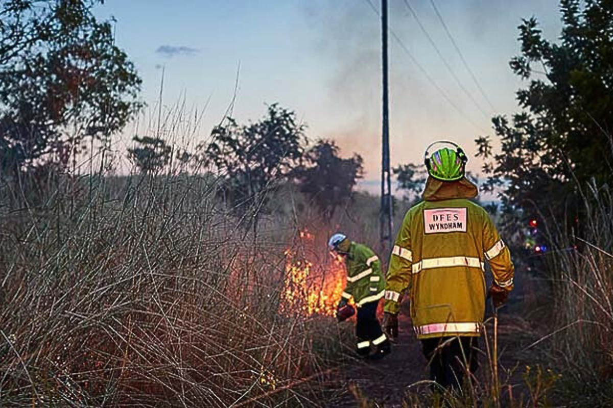 Article image for Warning ‘devastating’ burn-offs taking huge toll on environment