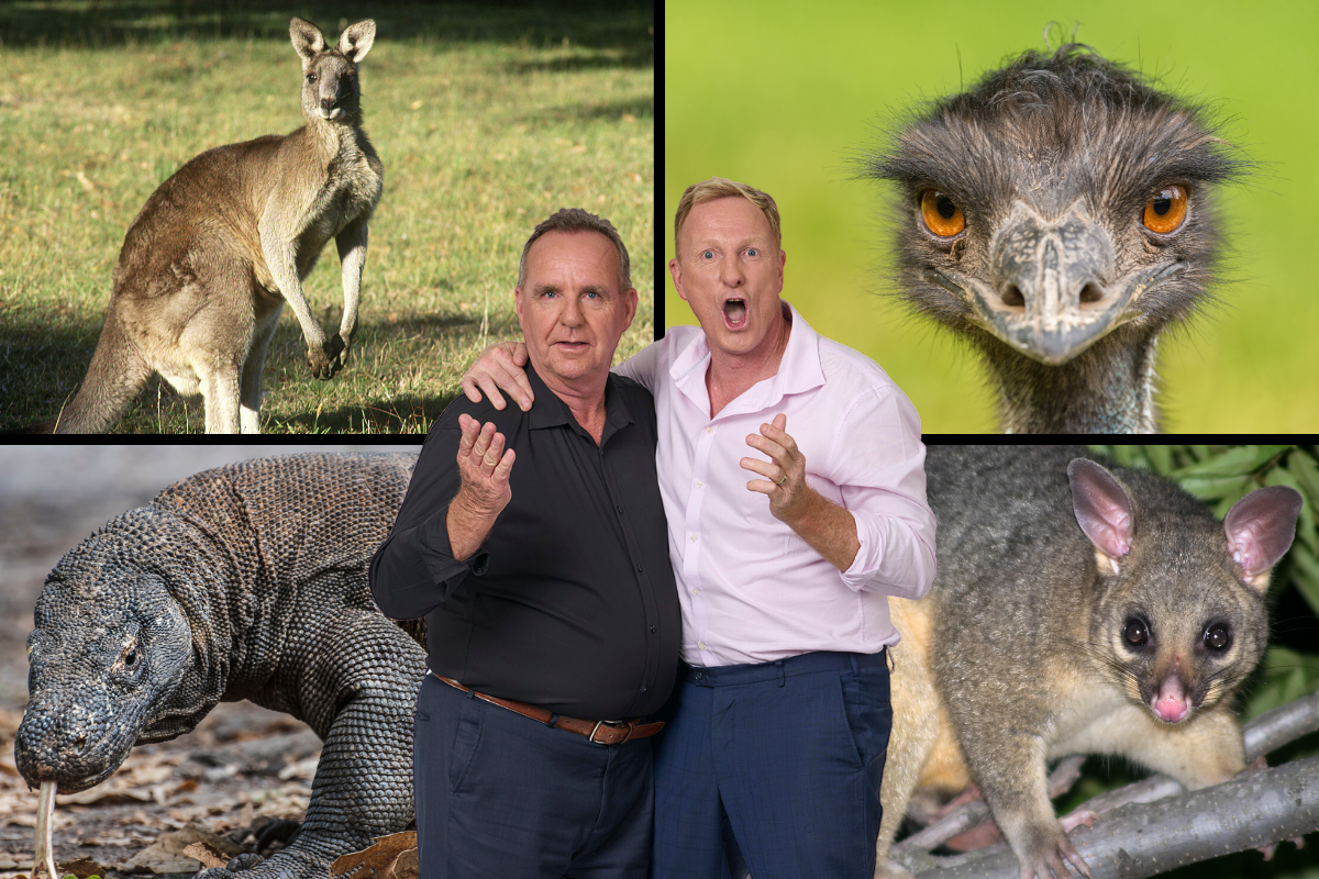 Article image for Which animal tastes the best? 6PR listeners share their favourites