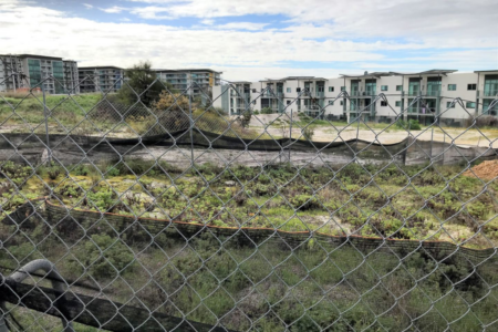 Government’s ‘Bizarre’ Goldmaster bid slammed by scathing CCC review