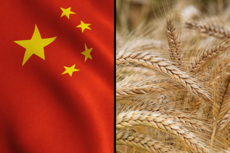 ‘Fantastic news for Australia’: China lifts 80 per cent barley tariff