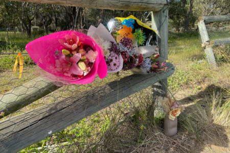Baldivis deaths level stern questions on road safety